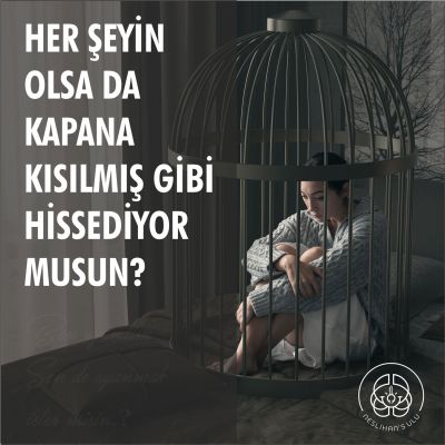 Sosyal Medya Çalışması No:17